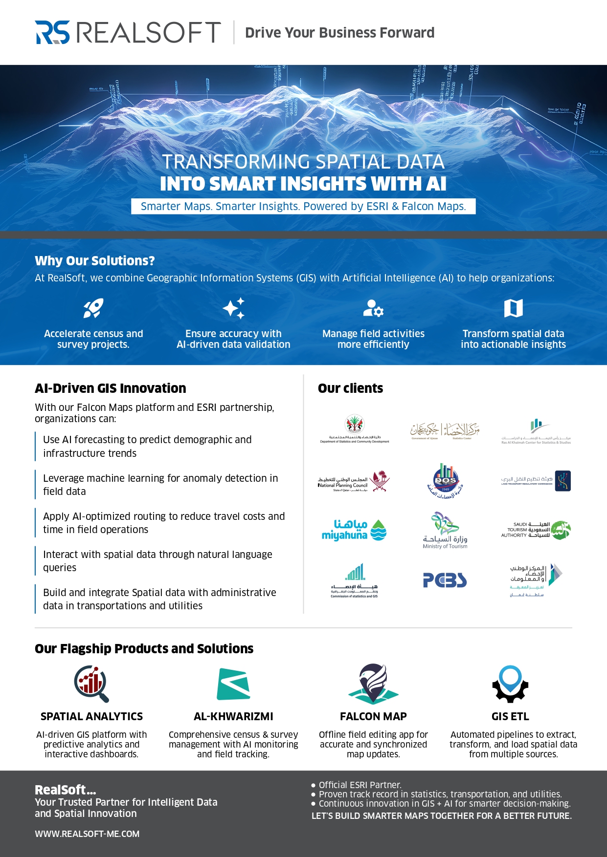 RealSoft GIS Flyer Cover
